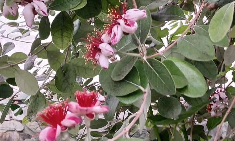 Методический семинар